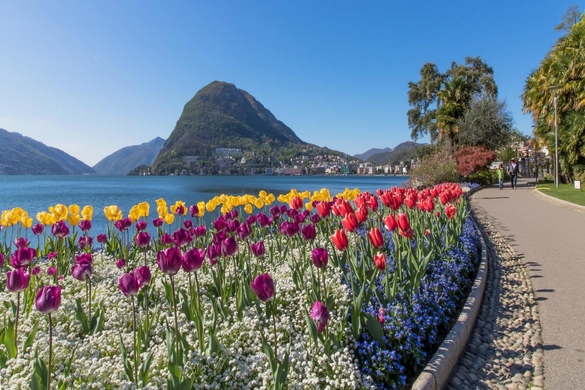 Appartamento Ca' Gina Panoramica Lugano Esterno foto